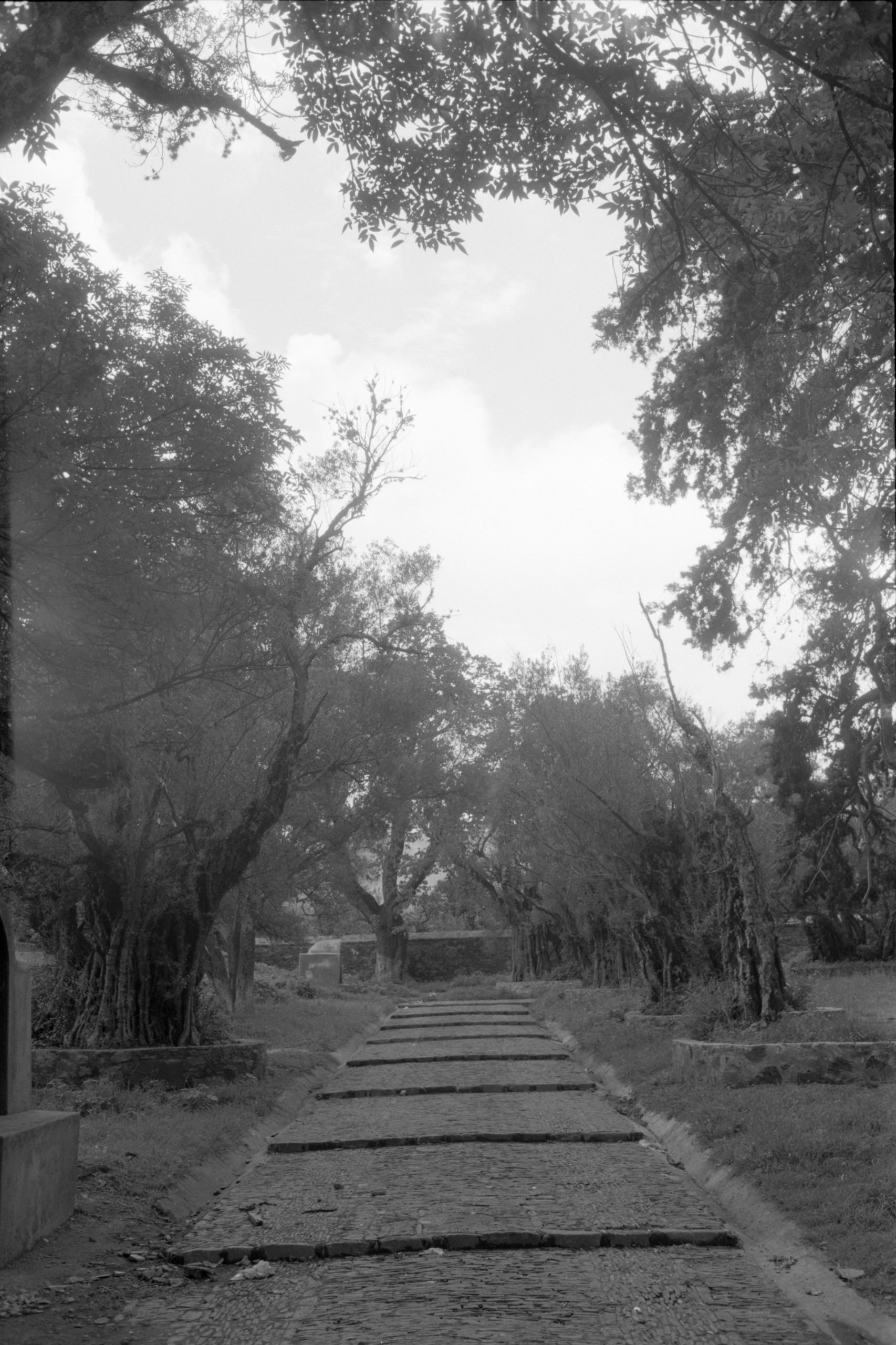 AHP FilmScan 240807 0473